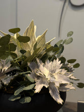 Cargar imagen en el visor de la galería, ARREGLO FUZZY AGAVE