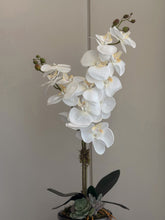 Cargar imagen en el visor de la galería, VASO SINGLE ORCHID MOTHERS DAY