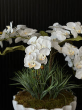 Cargar imagen en el visor de la galería, ARREGLO MARINO ORQUÍDEA