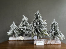 Cargar imagen en el visor de la galería, SET 3 PINOS NEVADOS CHICOS 27 CM