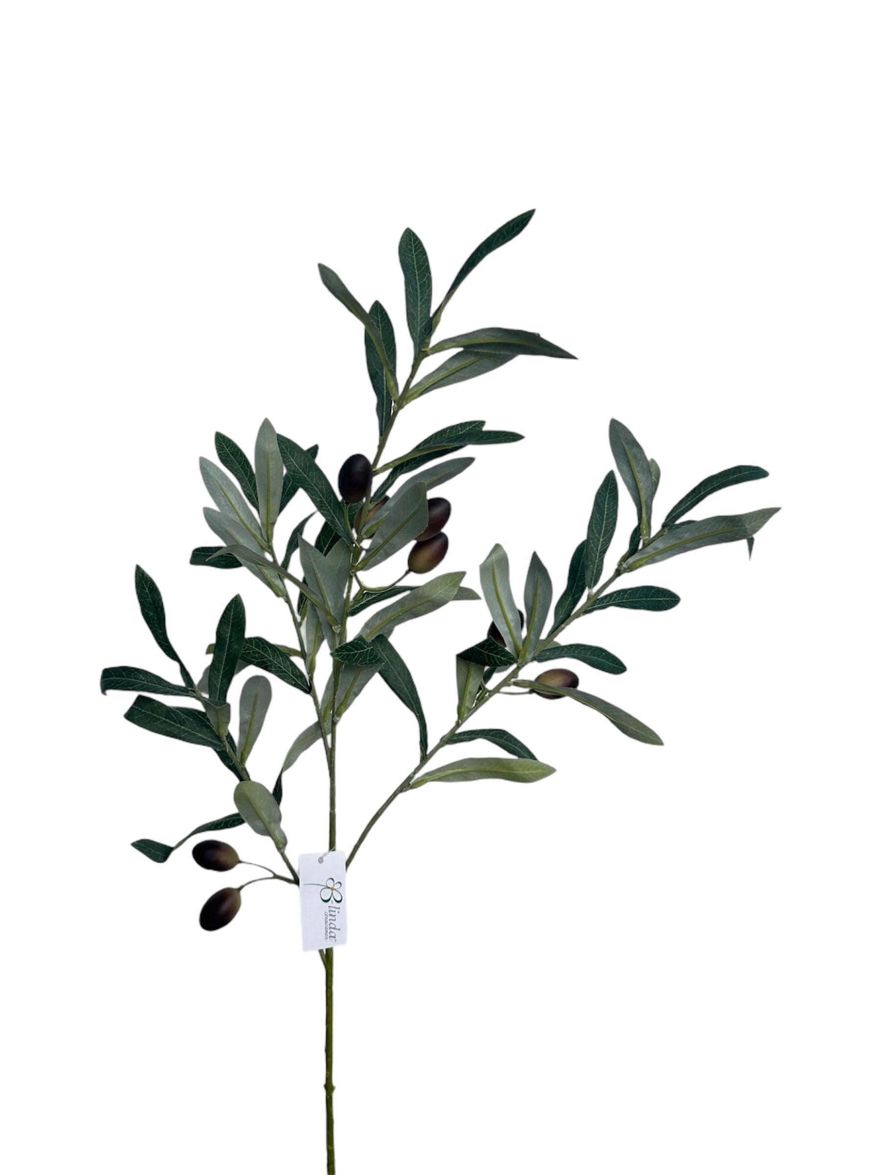 HOJA DE OLIVO BLinda Creaciones