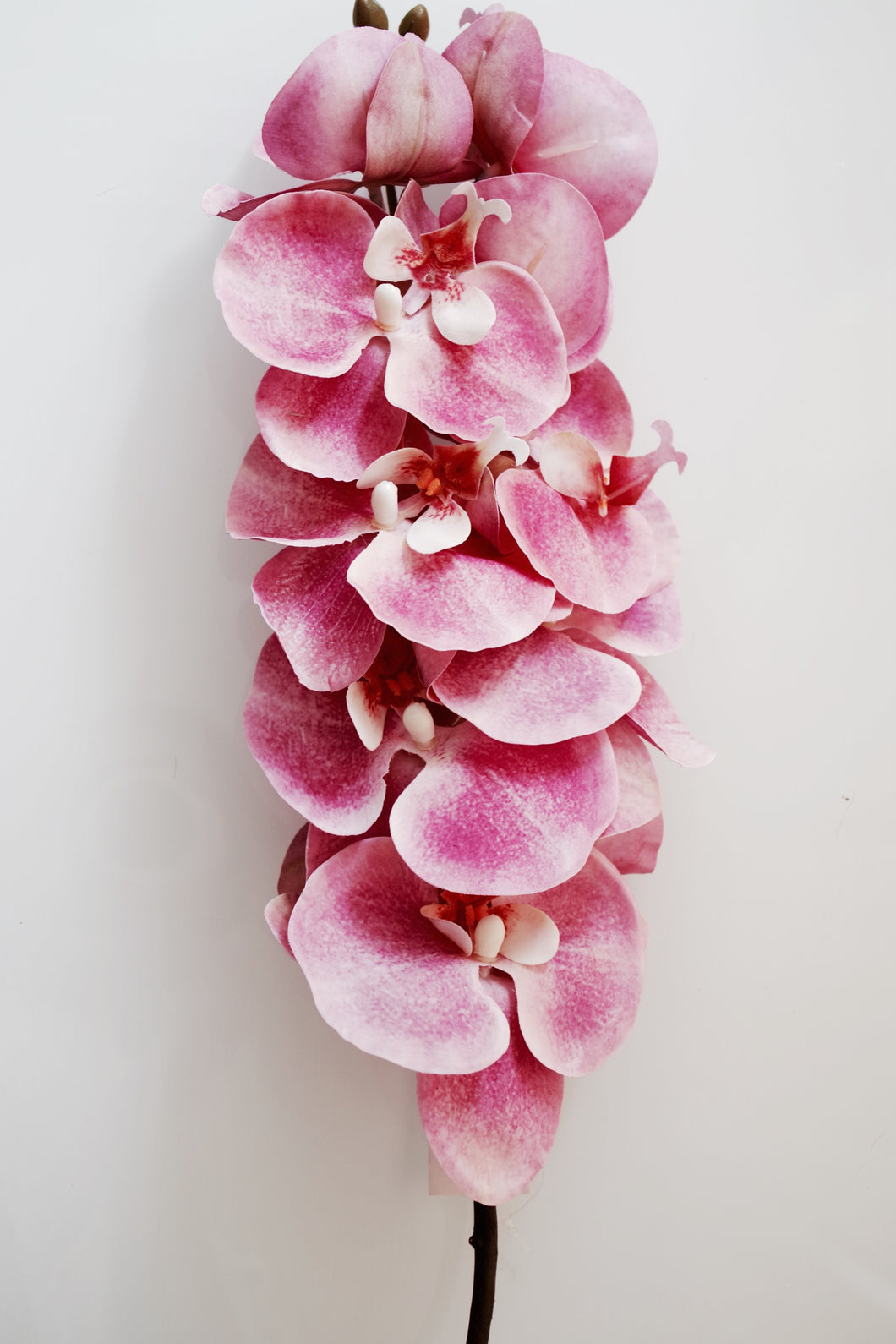 Caja orquidea rosa
