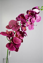Cargar imagen en el visor de la galería, Caja orquidea morada
