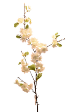 Cargar imagen en el visor de la galería, VARA BLOSSOM PERA BLANCA
