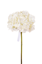Cargar imagen en el visor de la galería, HORTENSIA CORTA BLANCA 45 CM
