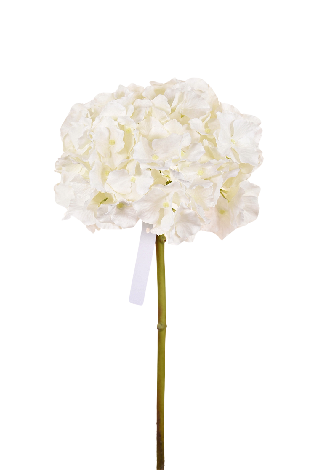 HORTENSIA CORTA BLANCA 45 CM