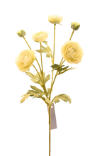 Cargar imagen en el visor de la galería, BUSH RANUNCULUS BLANCO
