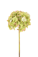 Cargar imagen en el visor de la galería, HORTENSIA CORTA BLANCA 45 CM
