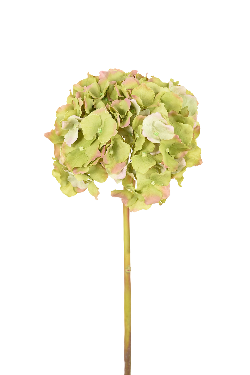 HORTENSIA CORTA VERDE FUERTE 45 CM
