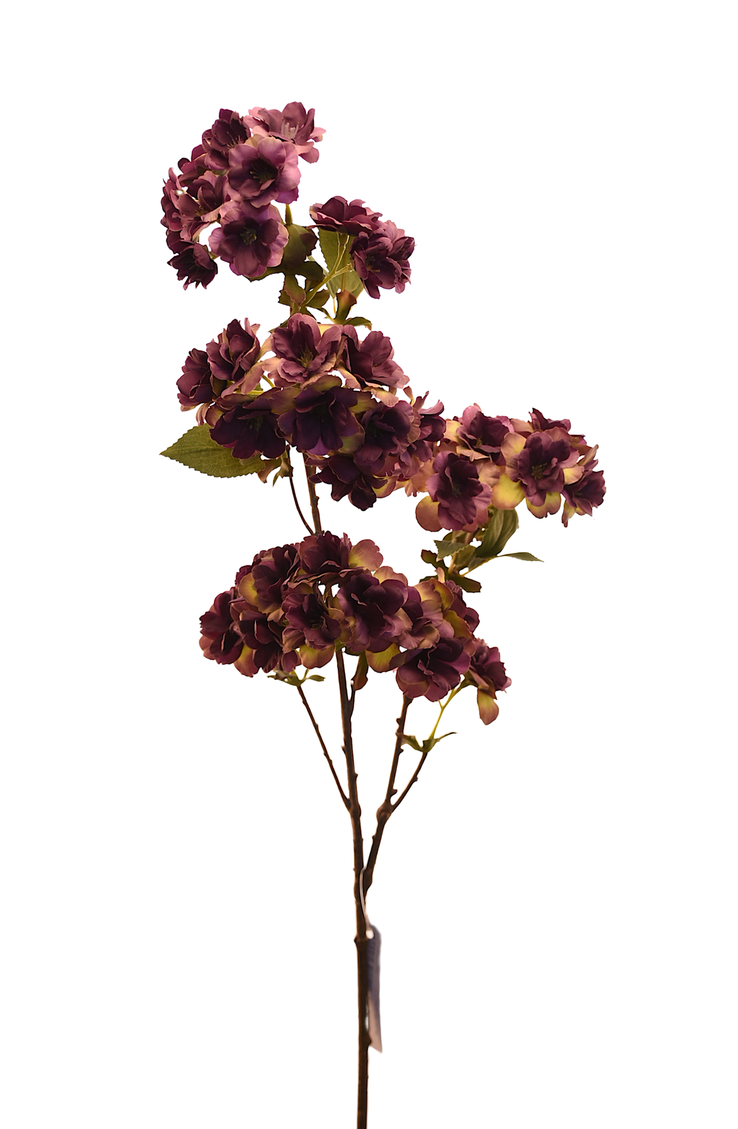 VARA CHERRY POMPON MORADO