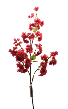 Cargar imagen en el visor de la galería, BUSH SAKURA GRANDE FIUSHA
