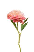 Cargar imagen en el visor de la galería, PEONIA ROSA FUERTE 34 CM

