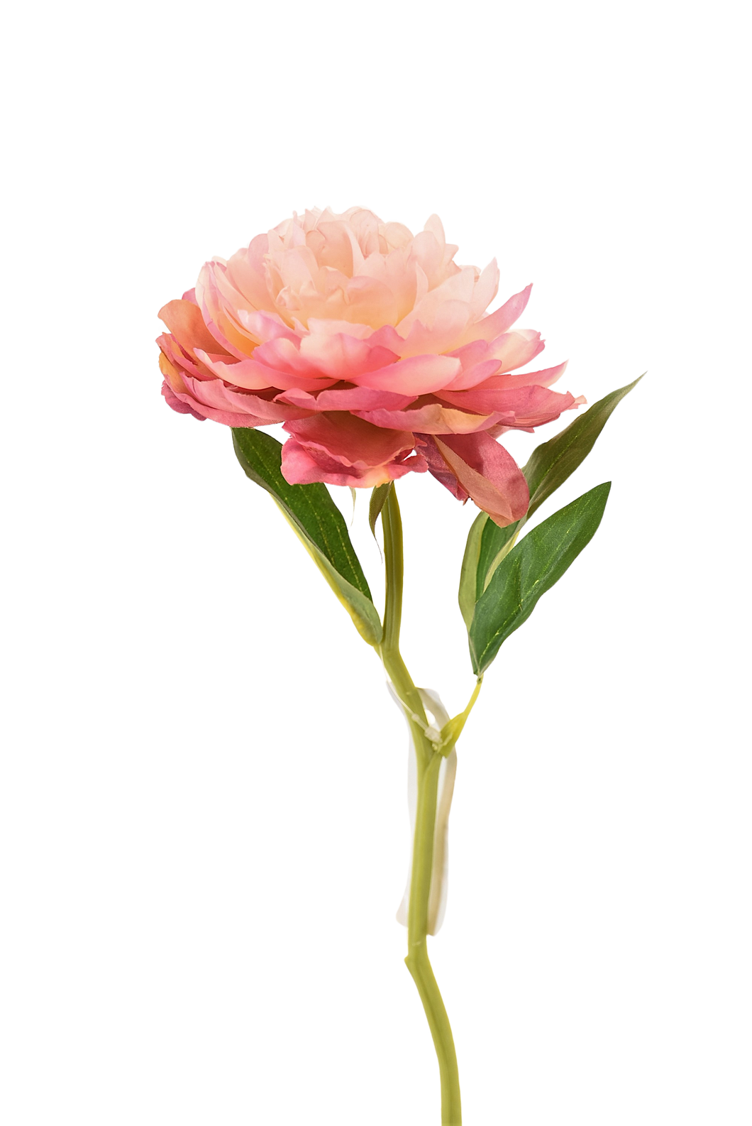 PEONIA ROSA FUERTE 34 CM