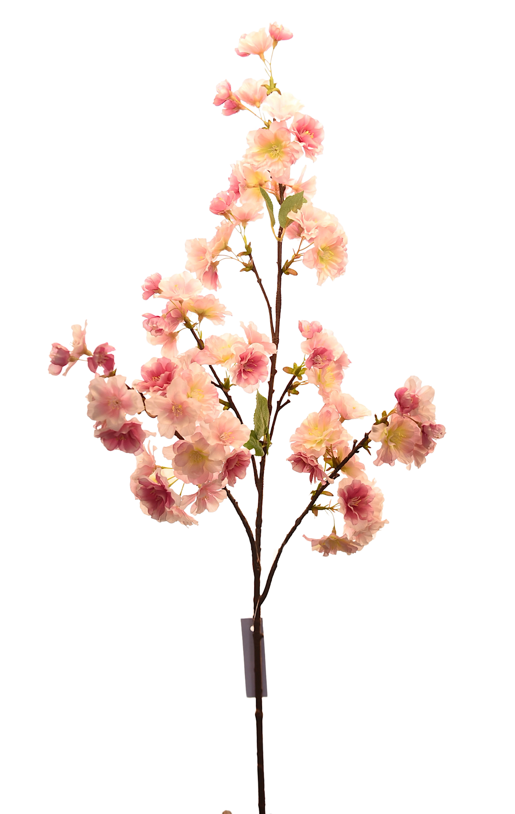 BUSH SAKURA GRANDE ROSA