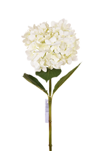 Cargar imagen en el visor de la galería, HORTENSIA PRIMAVERA BLANCA 72 CM
