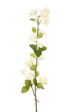 Cargar imagen en el visor de la galería, VARA FLOR DE PERA BLANCA 108 CM
