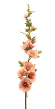 Cargar imagen en el visor de la galería, ALCEA ROSA FUERTE
