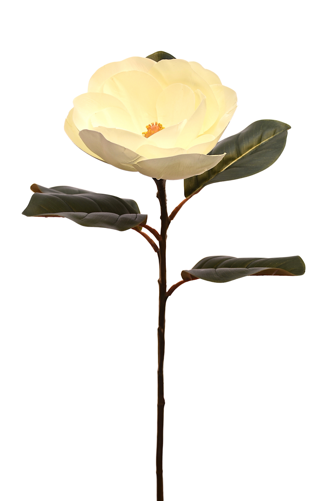MAGNOLIA TOUCH GIGANTE BLANCA