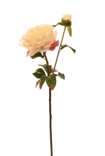 Cargar imagen en el visor de la galería, VARA PEONIA SENCILLA BLANCA
