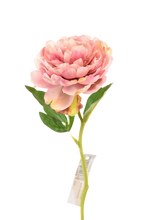 Cargar imagen en el visor de la galería, PEONIA ROSA FUERTE 34 CM

