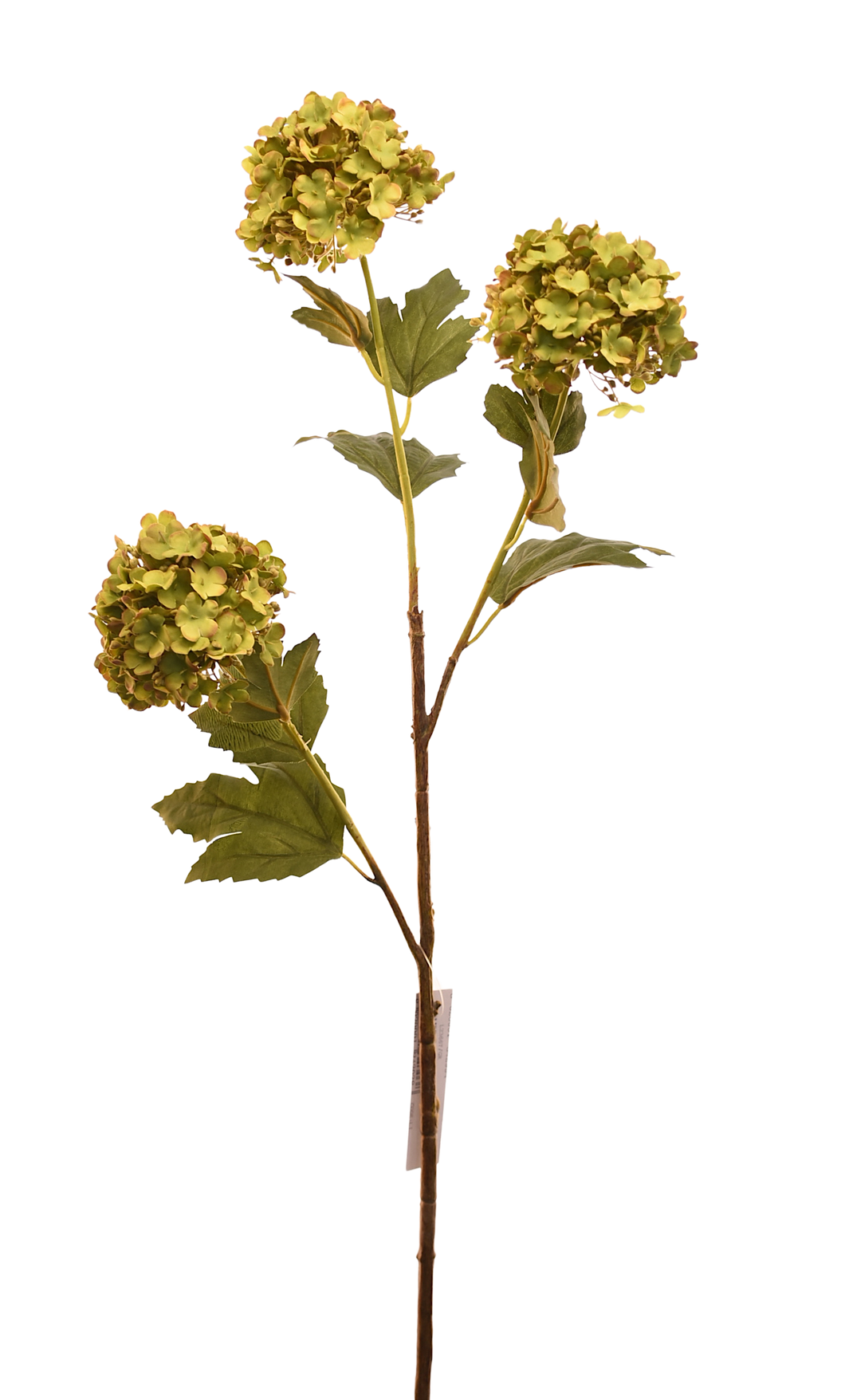 VARA HORTENSIA EN BOLA VERDE