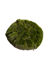 Cargar imagen en el visor de la galería, TAPETE MUSGO CIRCULAR 38 CM
