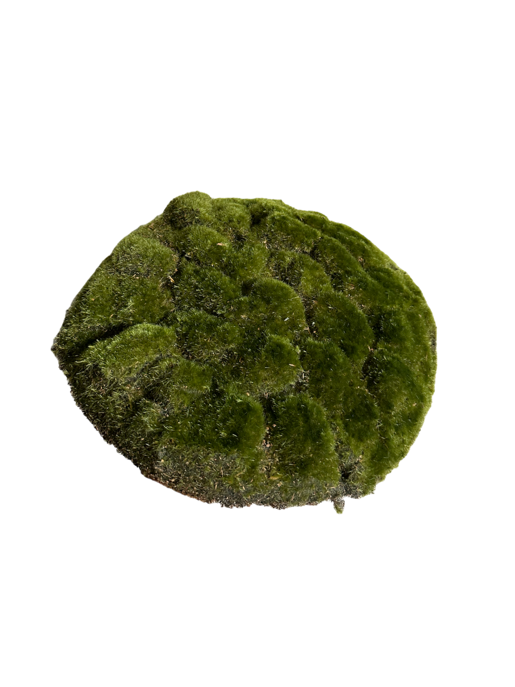 TAPETE MUSGO CIRCULAR 38 CM