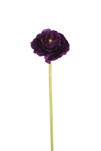 Cargar imagen en el visor de la galería, RANUNCULUS 66 cm
