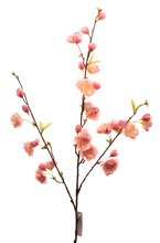 Cargar imagen en el visor de la galería, FLOR SAKURA VERDE
