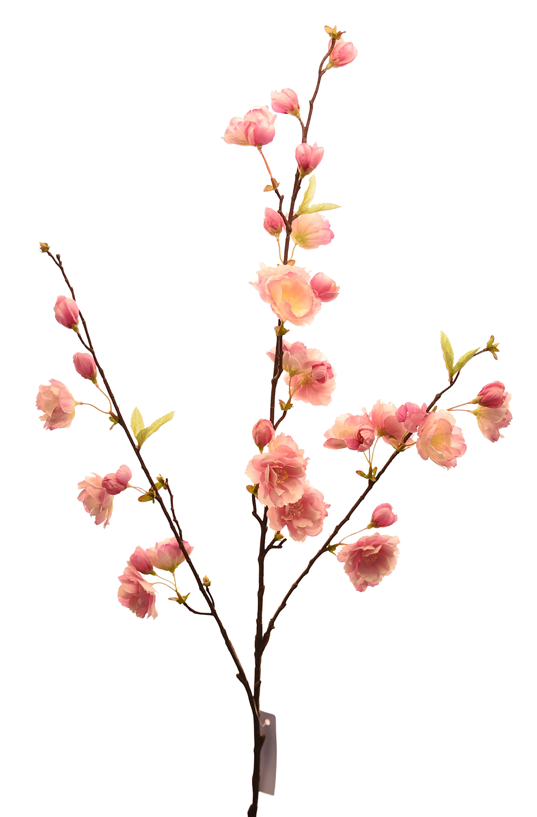 FLOR SAKURA ROSA FUERTE