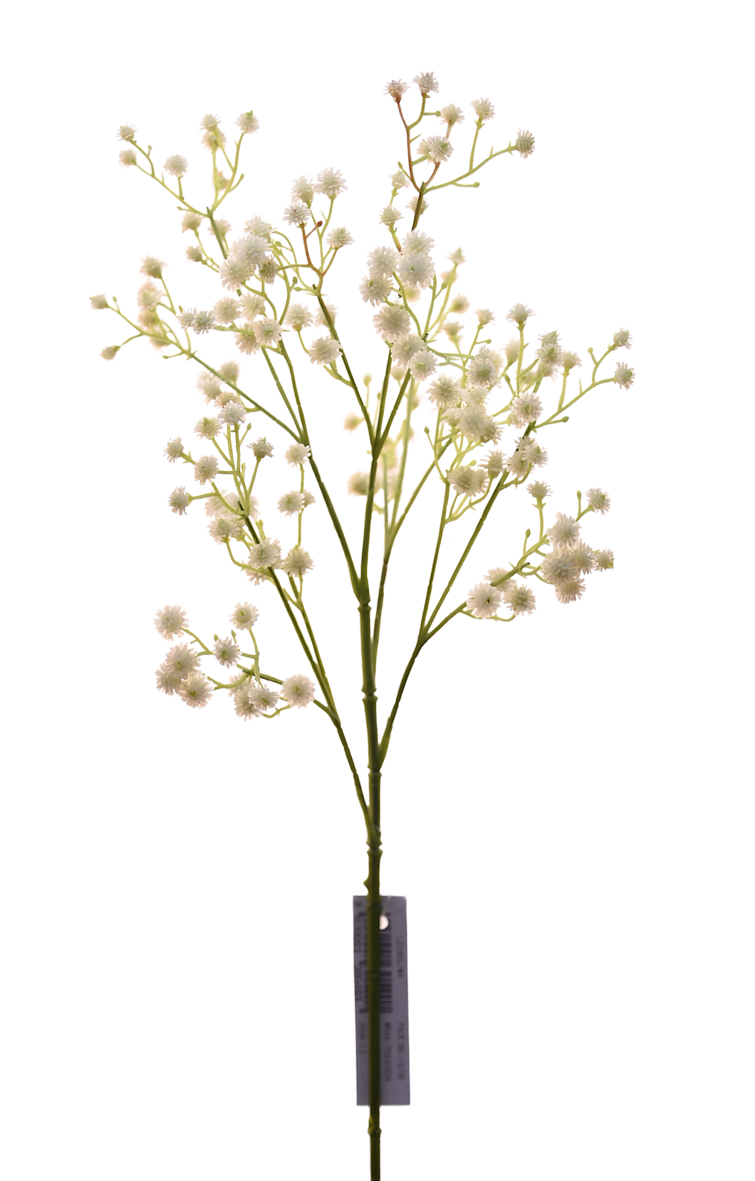 FOLLAJE FLORECITAS