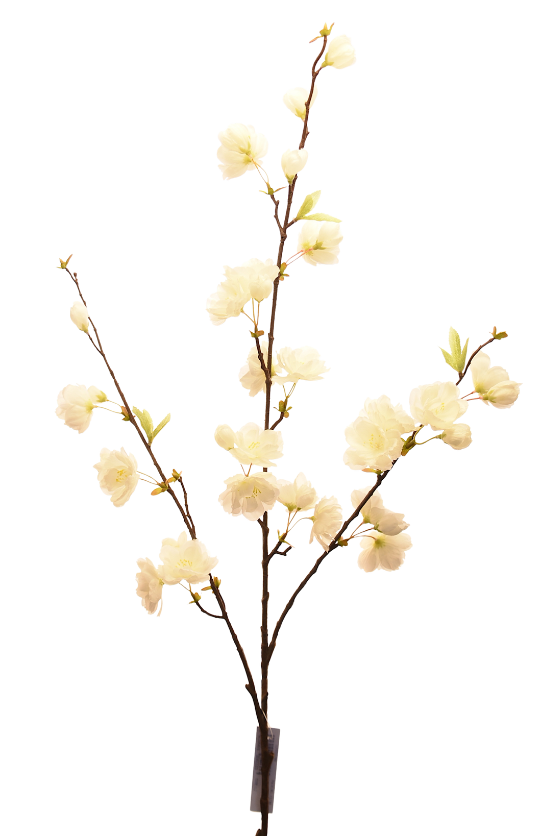 FLOR SAKURA BLANCO