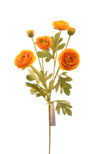 Cargar imagen en el visor de la galería, BUSH RANUNCULUS VERDE
