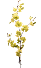 Cargar imagen en el visor de la galería, VARA BLOSSOM PERA BLANCA
