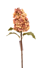 Cargar imagen en el visor de la galería, HORTENSIA CONO CHICA BLANCA
