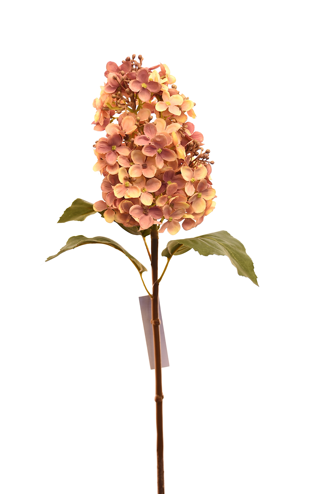 HORTENSIA CONO CHICA ROSA
