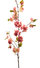 Cargar imagen en el visor de la galería, VARA BLOSSOM PERA BLANCA
