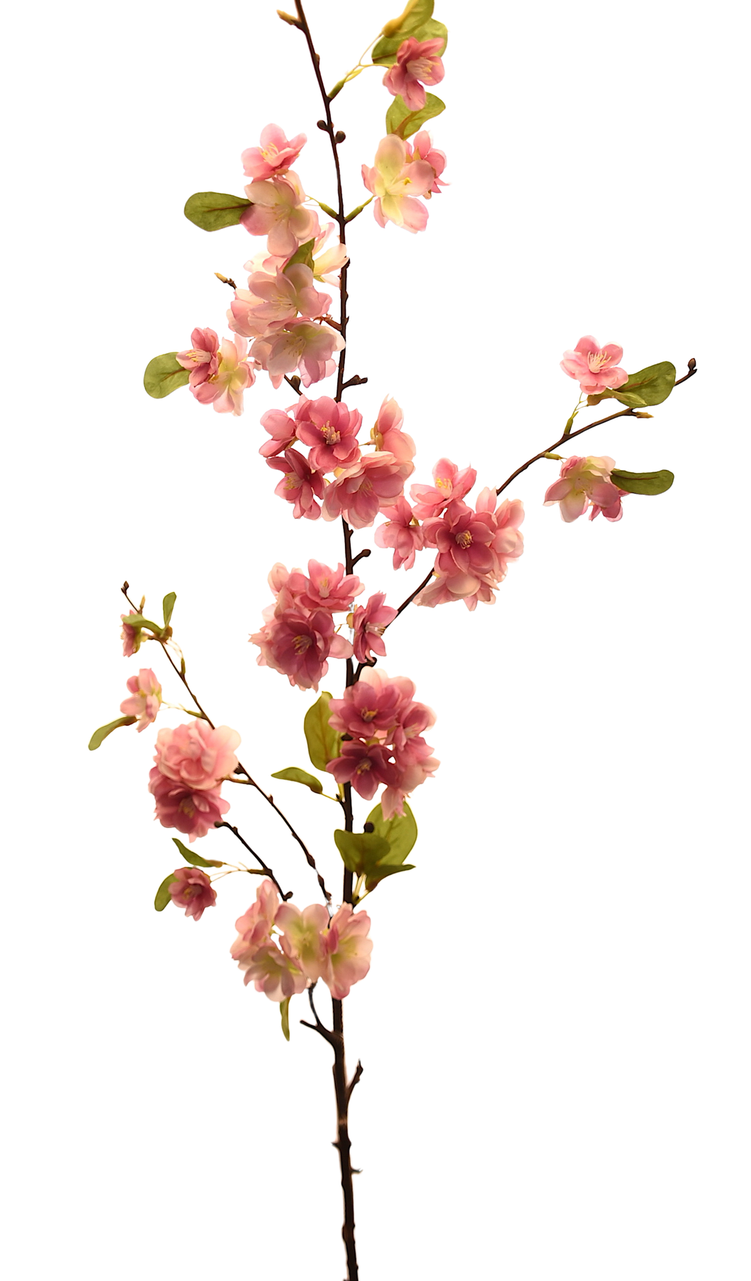 VARA BLOSSOM PERA ROSA