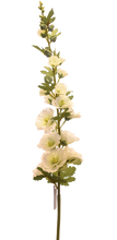 Cargar imagen en el visor de la galería, ALCEA ROSA FUERTE
