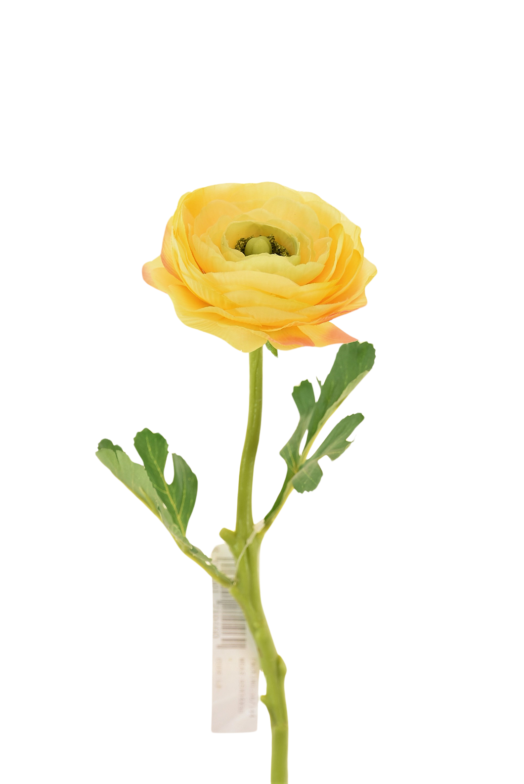 RANUCULUS SENCILLO 32 CM AMARILLO
