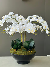 Cargar imagen en el visor de la galería, ORQUIDEA PHALEANOPSIS BLANCA
