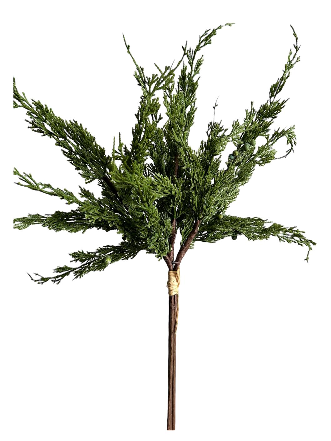 MANOJO PINO CEDRO VERDE