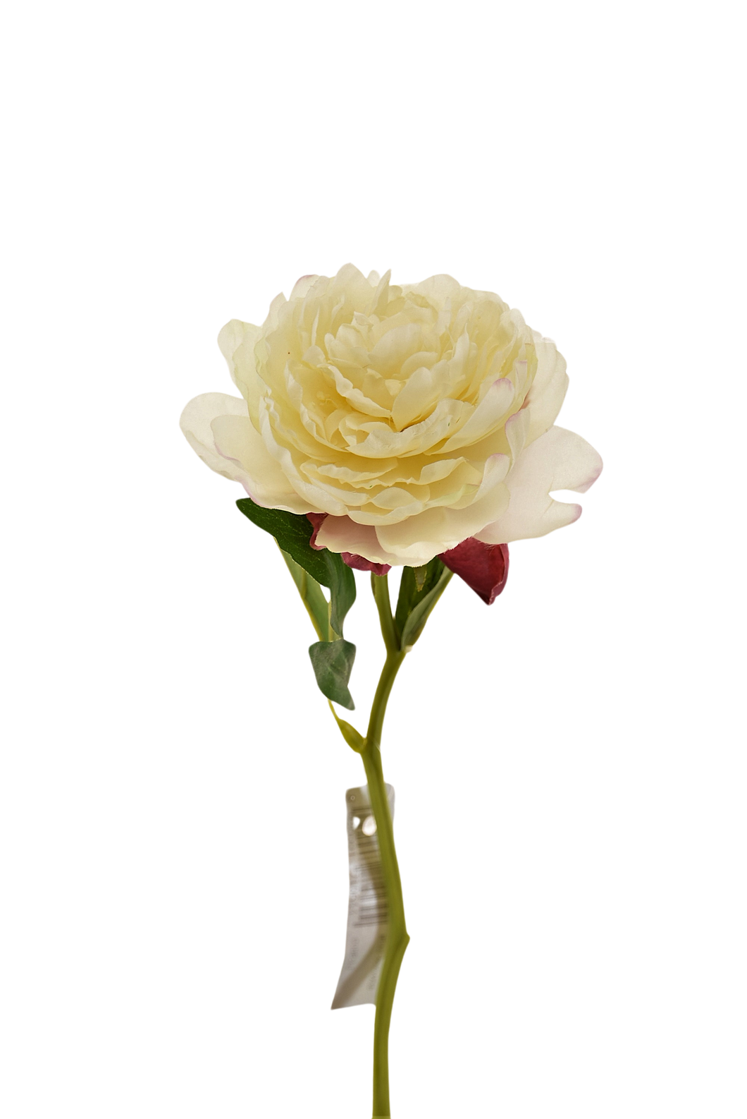 PEONIA BLANCO 34 CM