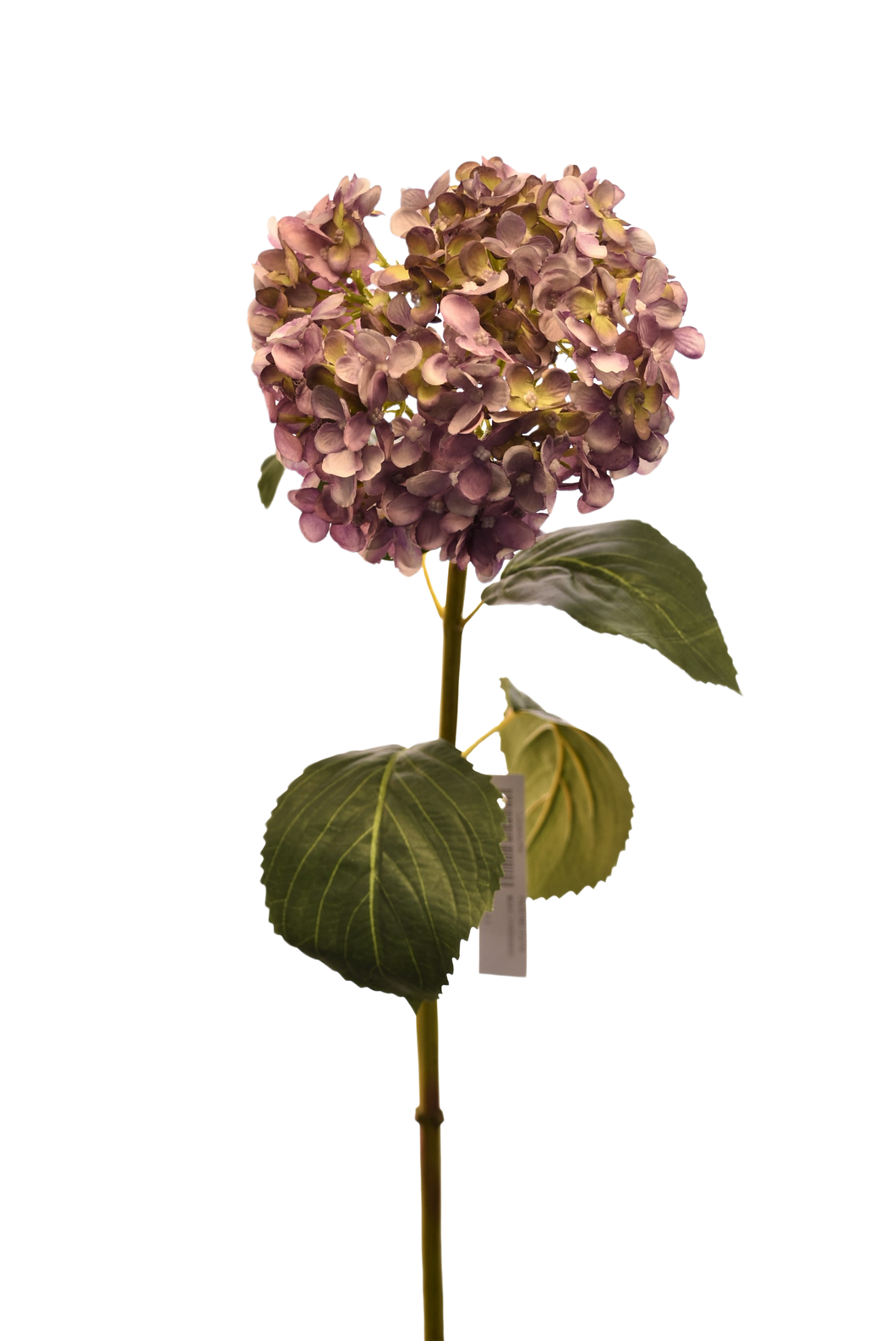 HORTENSIA MORADA 84 CM