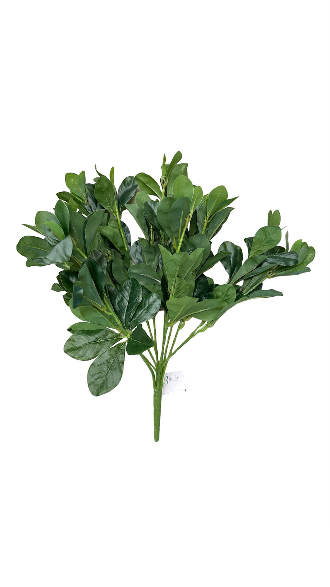 BUSH CLAVO VERDE 45 CM