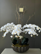 Cargar imagen en el visor de la galería, ORQUIDEA PHALEANOPSIS BLANCA
