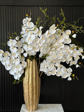 Cargar imagen en el visor de la galería, ORQUIDEA PHALEANOPSIS BLANCA
