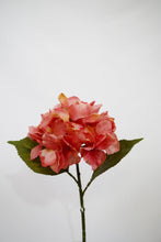Cargar imagen en el visor de la galería, Caja hortensia 37 cm
