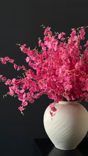 Cargar imagen en el visor de la galería, Orquidea Sencilla Caja 12 PIEZAS
