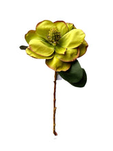 Cargar imagen en el visor de la galería, MAGNOLIA MEDIANA VERDE Y HOJAS
